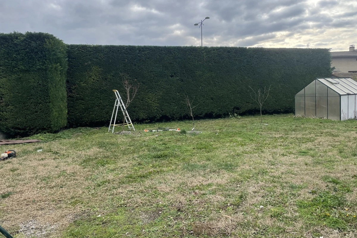 Jardin en cours d'entretien avec une grande haie taillée et une serre, illustrant les services d'aménagement paysager incluant la taille des haies et la gestion des espaces verts.